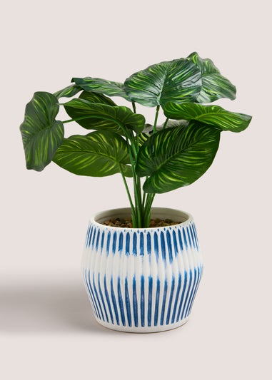 Leafy Plant In Blue Ribbed Pot (28cm x 15cm x 15cm)