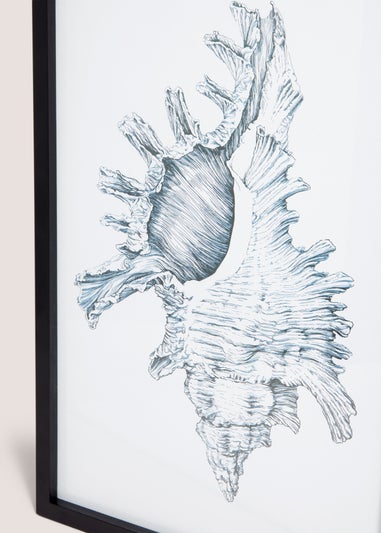 Shell Wall Art (48cm x 32cm)