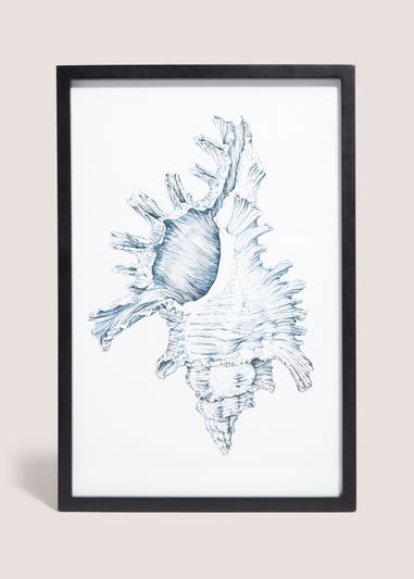 Shell Wall Art (48cm x 32cm)