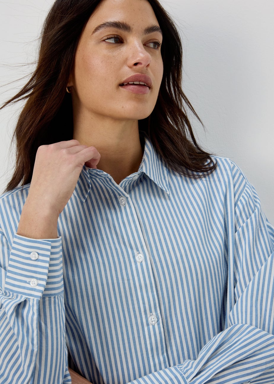 Papaya Petite Blue Stripe Poplin Shirt