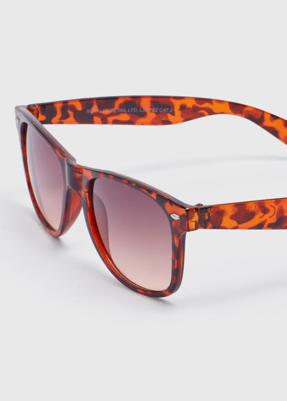 Brown Tortoise Nomad Sunglasses