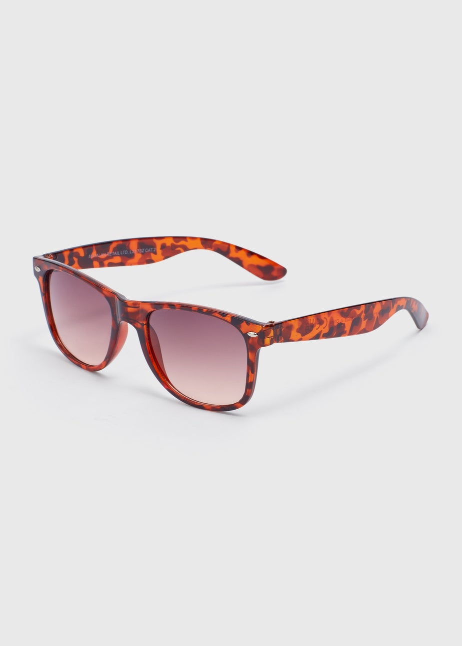 Brown Tortoise Nomad Sunglasses