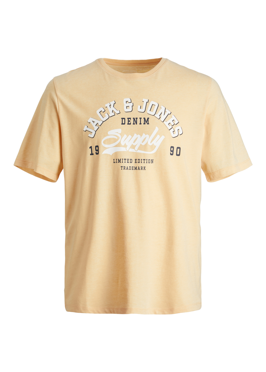 Jack & Jones Boys Orange T-Shirt (6-16yrs)