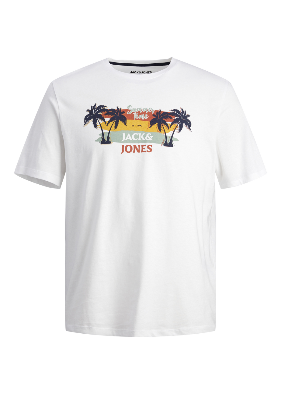 Jack & Jones Boys White Summer Vibes Crew Neck T-Shirt (6-16yrs)