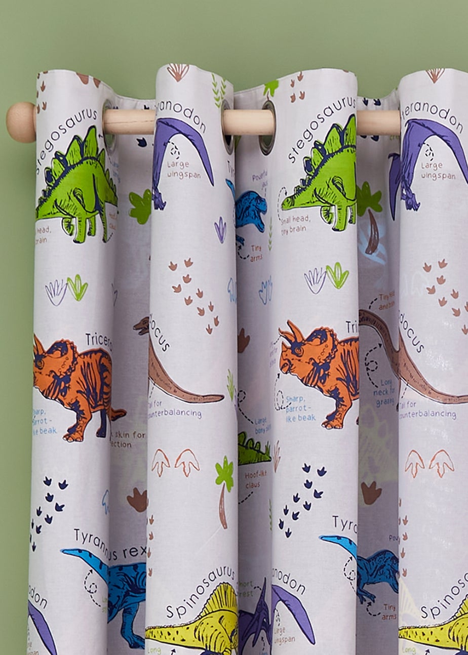 Catherine Lansfield Prehistoric Dinosaurs Fully Reversible Curtains Natural/Blue