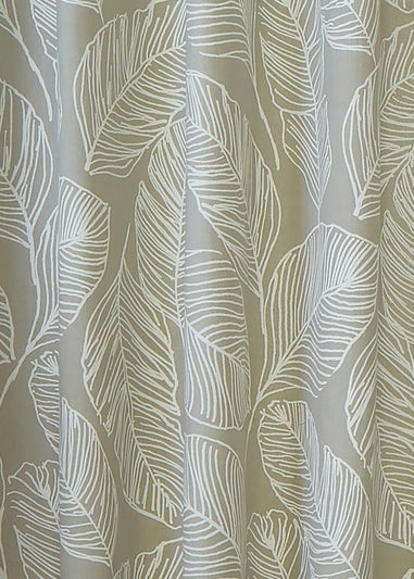 Fusion Matteo Natural Eyelet Curtains