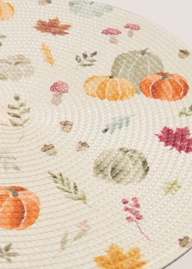 2 pack woven placemats