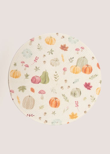 2 pack woven placemats