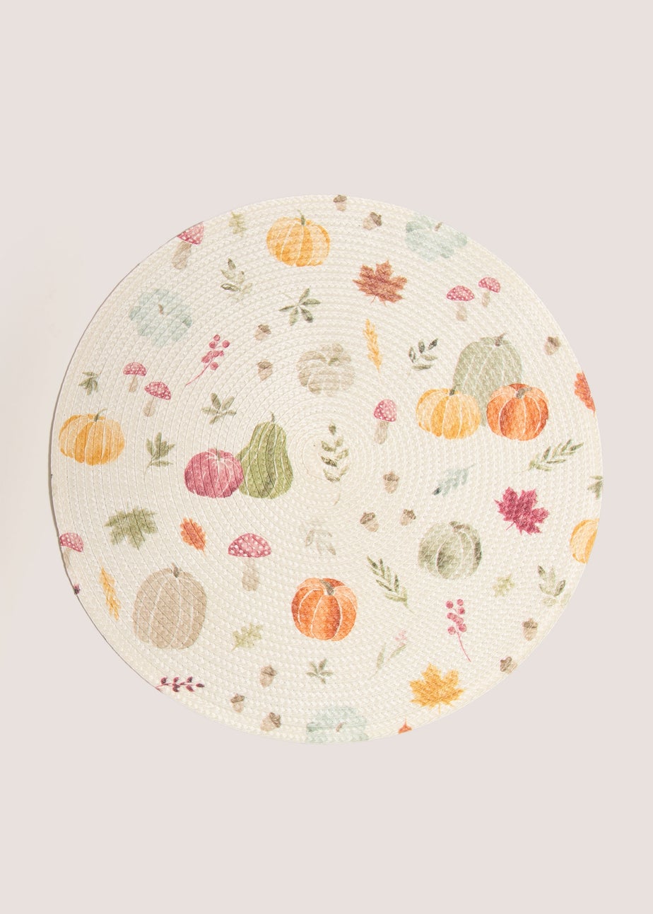 2 pack woven placemats