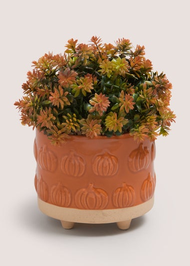 Orange Plant In Pumpkin Embossed Pot