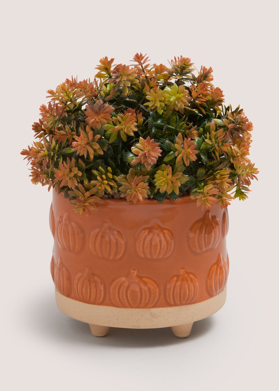Orange Plant In Pumpkin Embossed Pot