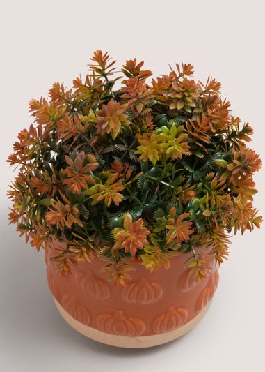Orange Plant In Pumpkin Embossed Pot