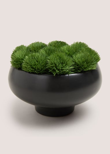 Black Moss Bowl