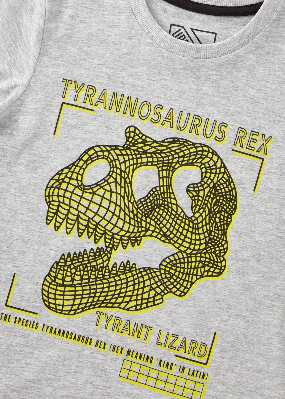 Boys Grey T-Rex T-Shirt (7-15yrs)