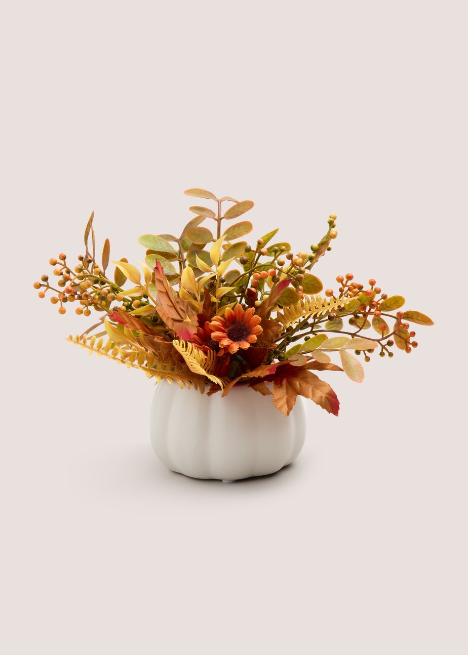 Orange Plant in Pumpkin Pot (14cmx14cmx22cm)