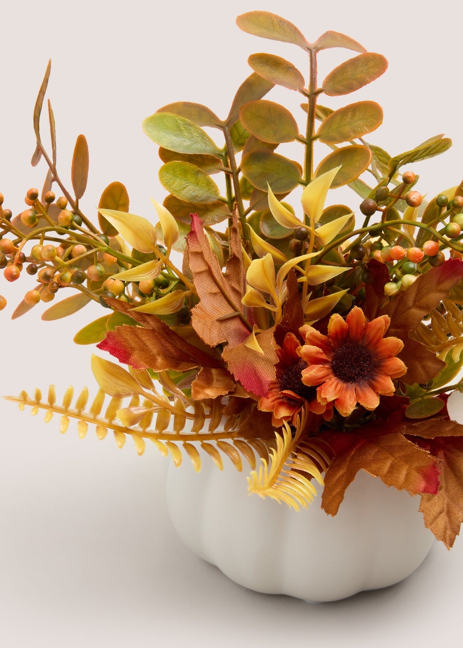 Orange Plant in Pumpkin Pot (14cmx14cmx22cm)