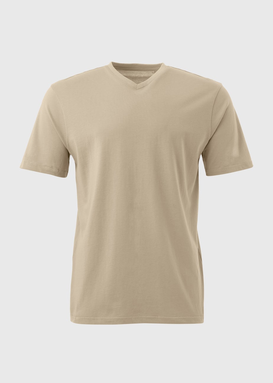 Stone V Neck Essential T-Shirt