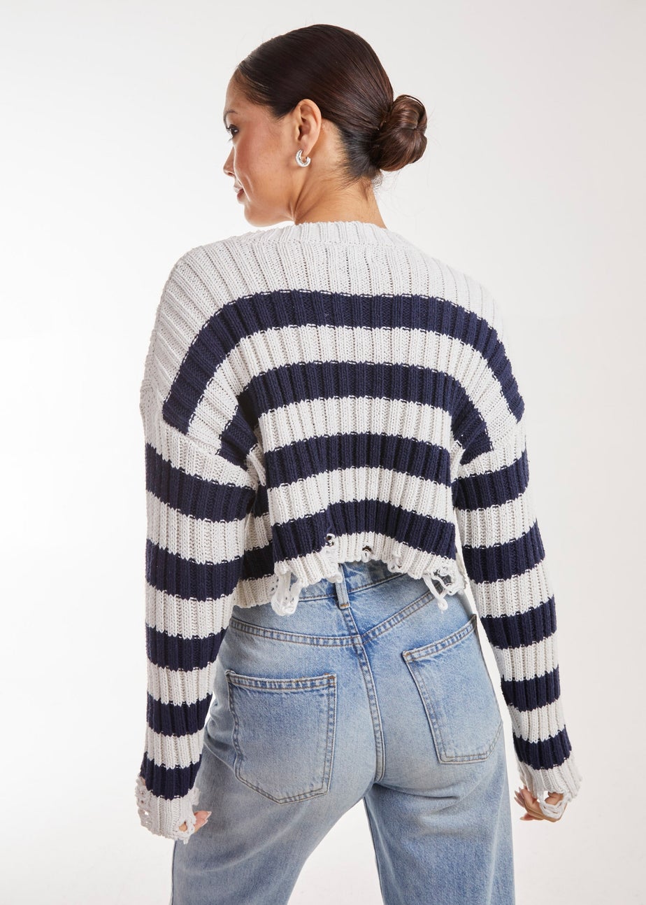 Pink Vanilla Distressed Striped Navy Crop Knit Jumper