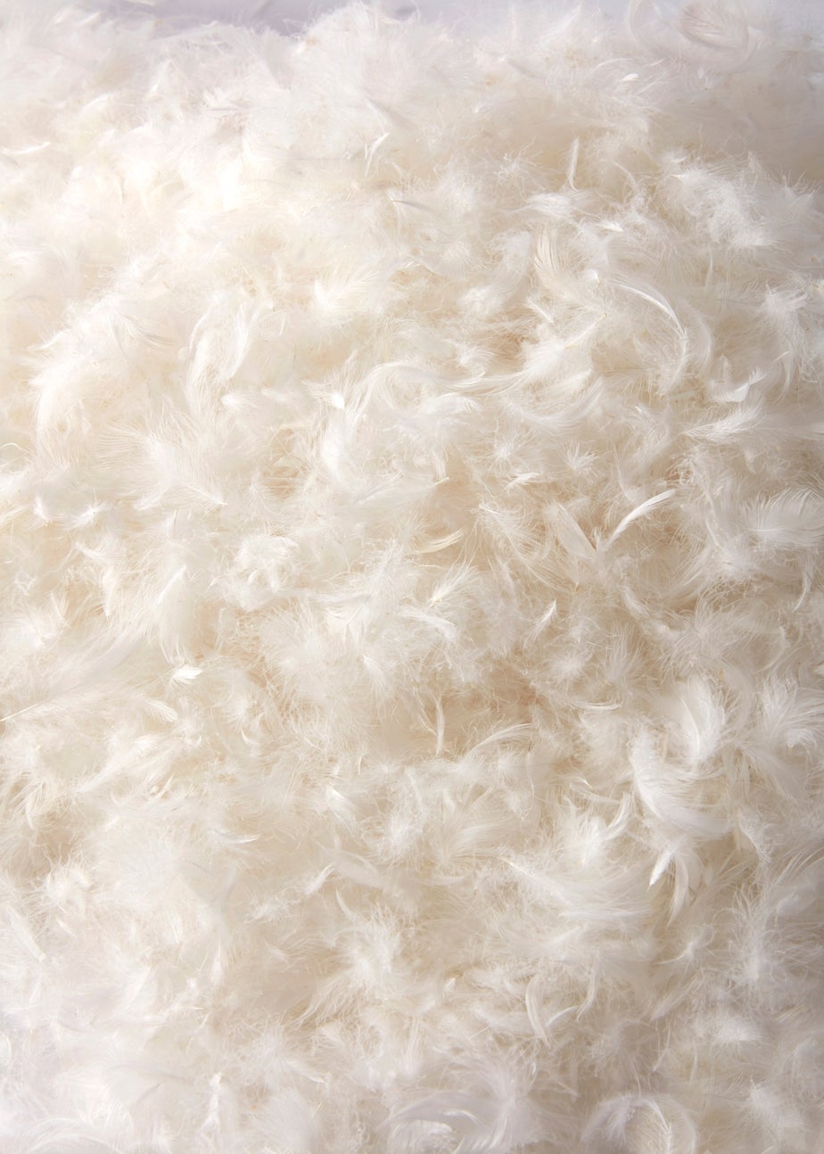 BHS All Natural Pair of Duck Feather Pillows