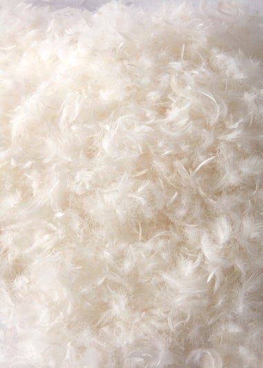 BHS All Natural Pair of Duck Feather Pillows