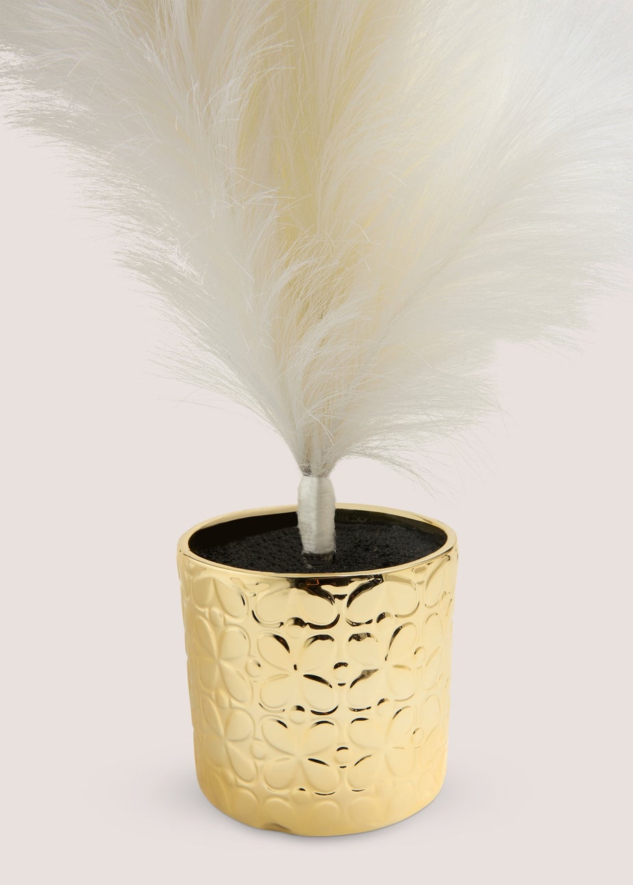 Wondrous Large White Pampas Tree