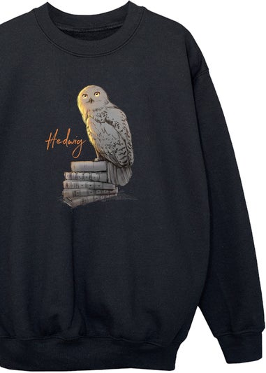 Harry Potter Kids Black Hedwig Books Printed Sweatshirt (3-13 yrs)