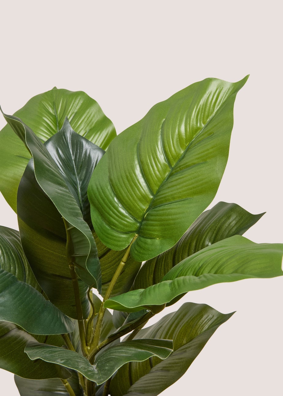 Silver Ribbed Pot With Leafy Plant