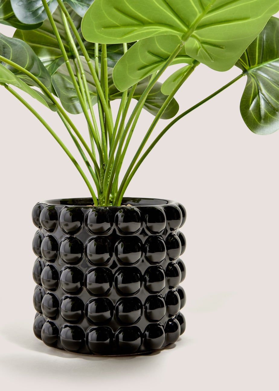 Black Bobble Pot & Plant