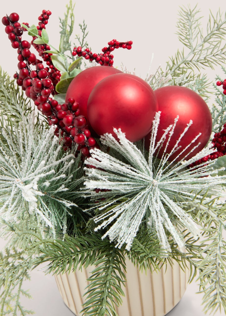 Winter Poem Multi Winter Poem Plant