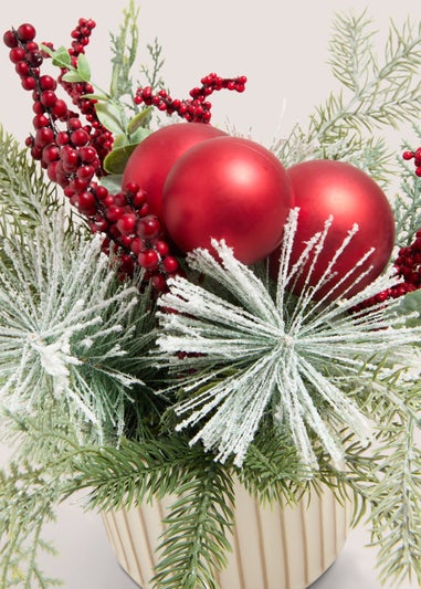 Winter Poem Multi Winter Poem Plant