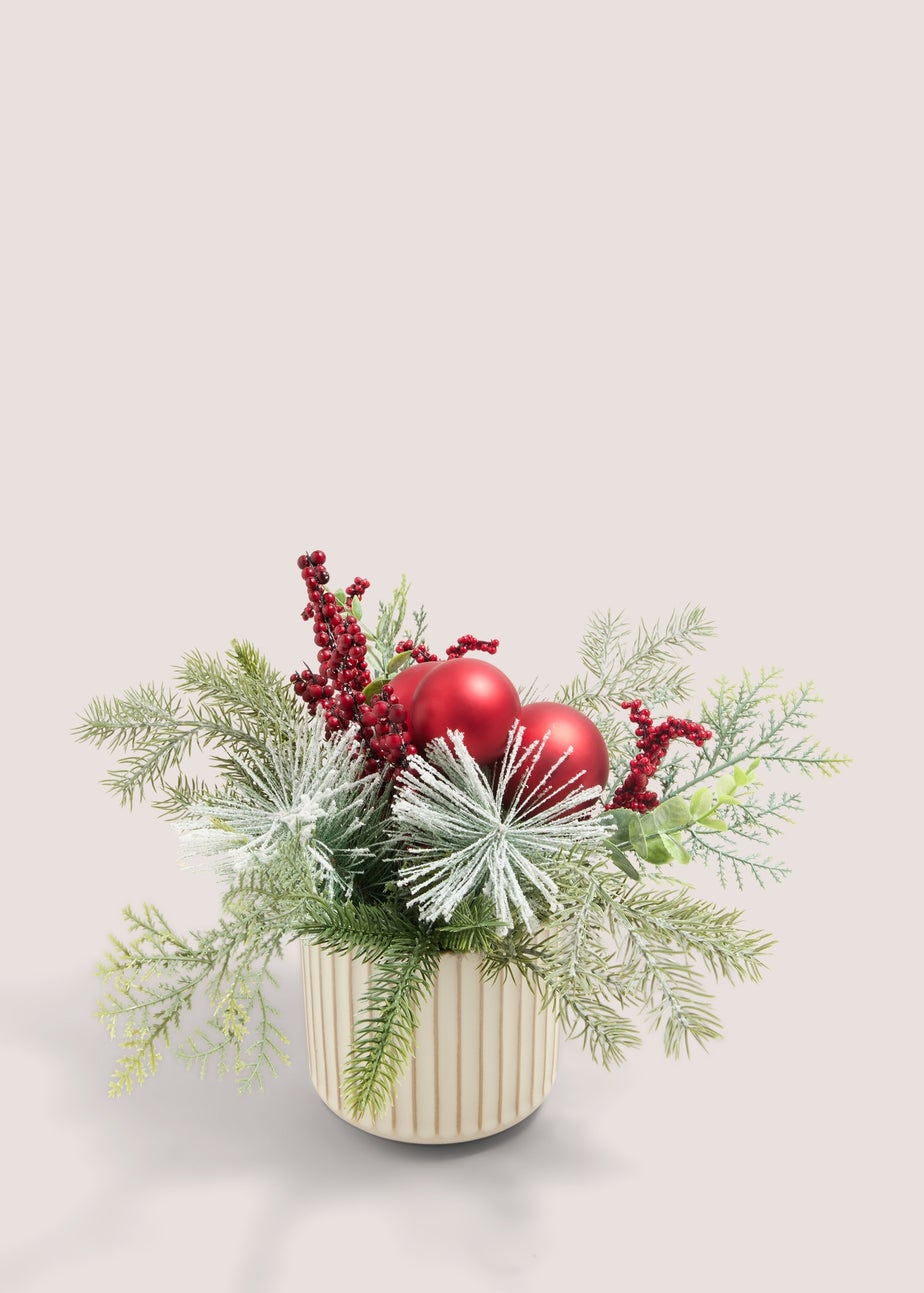 Winter Poem Multi Winter Poem Plant