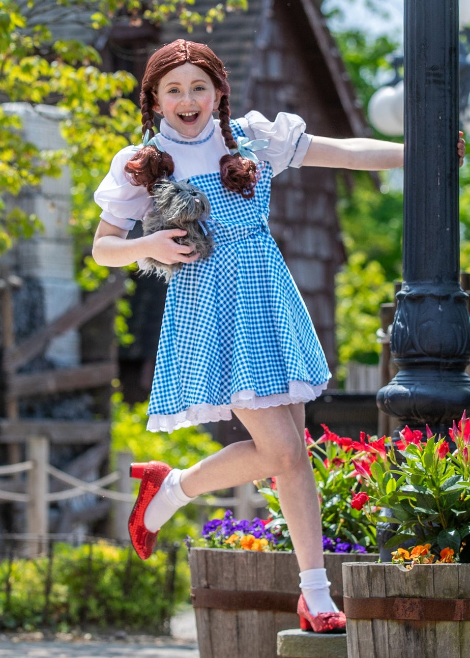 Rubies Kids Dorothy Fancy Dress Costume with Sequins (4โ14 yrs)