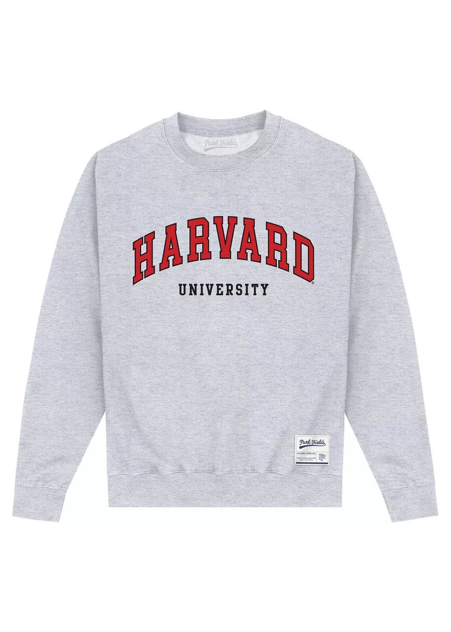 University of Harvard Grey Script Sweatshirt