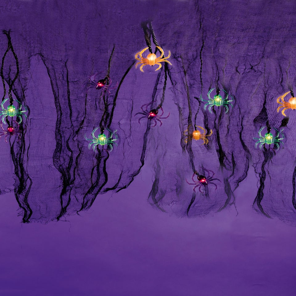 Premier Decorations 10 Warm White LED Battery Operated Spider Curtain (80cm)