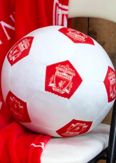Liverpool FC Soccer 3D Decorative Cushion