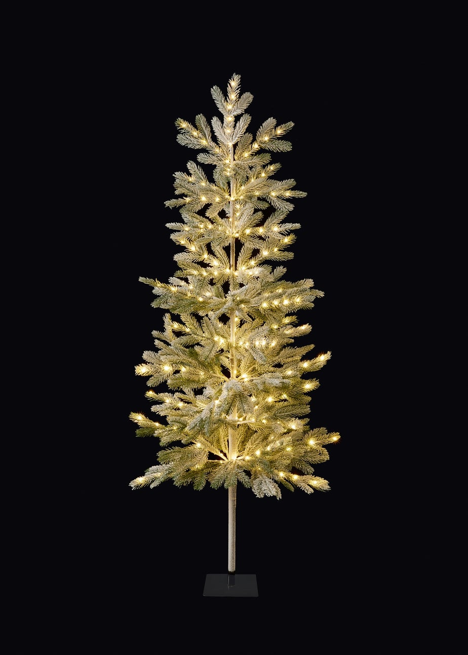 Premier Decorations Lit Pine Needle Tree with 220 Warm White LEDs 150cm