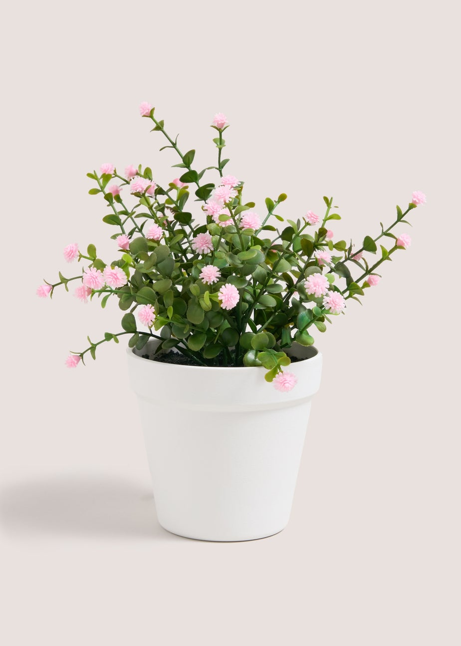 Pink Ditsy Flower In White Pot
