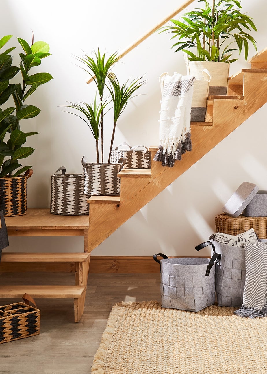 Dark Green Yukka Plant