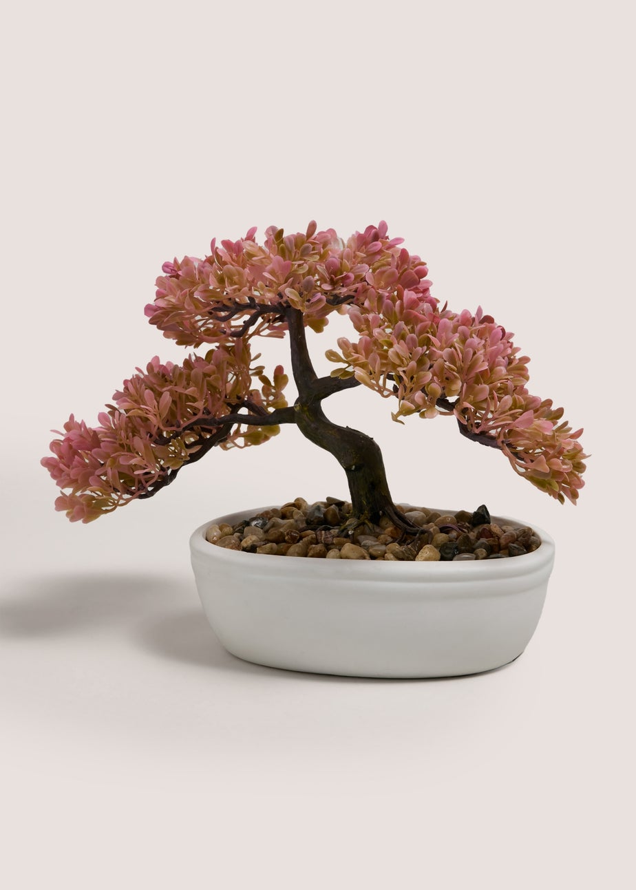 Peach Bonsai