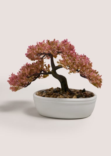 Peach Bonsai
