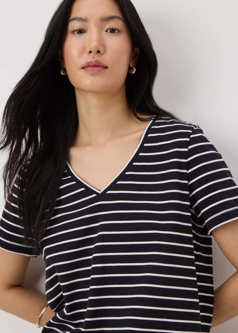 Black Stripe V-Neck Regular Fit T-Shirt