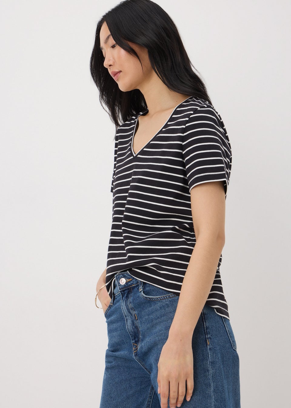 Black Stripe V-Neck Regular Fit T-Shirt