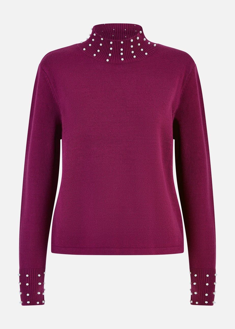Mela Plum Pearl Detail High Neck Jumper