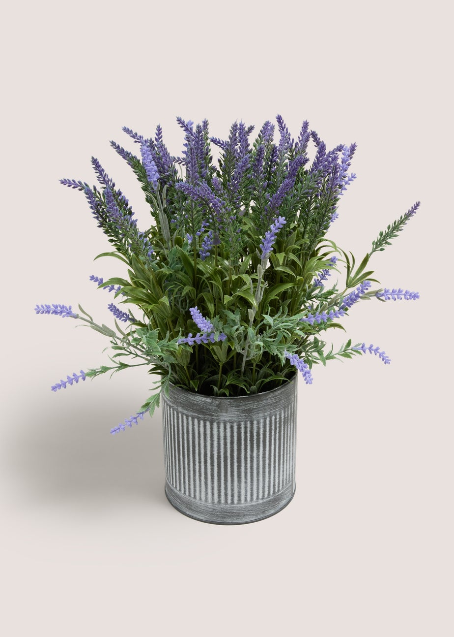 Lavender In Metal Pot