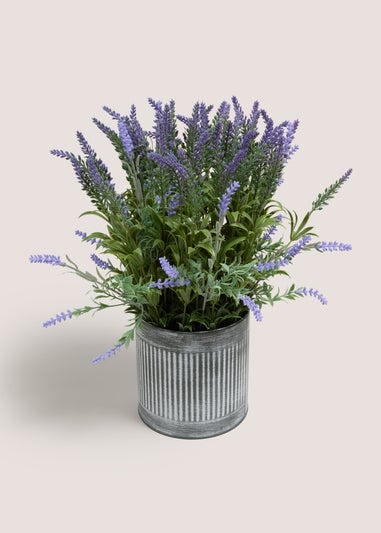 Lavender In Metal Pot