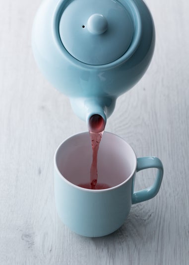 Price & Kensington Pastel Blue 2 cup Teapot