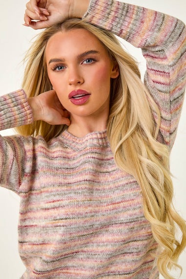 Roman Beige Petite Space Dye Knitted Jumper