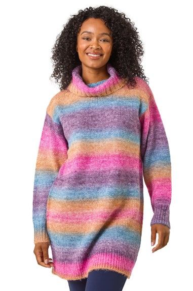 Roman Multi Petite Spacedye Stripe Roll Neck Jumper