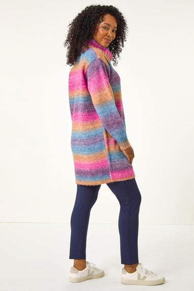 Roman Multi Petite Spacedye Stripe Roll Neck Jumper