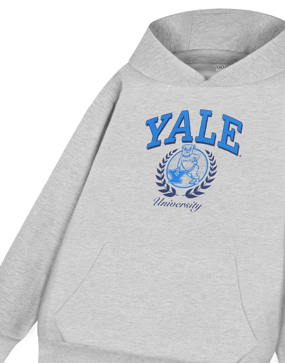 Yale Unisex Grey Dog Hoodie